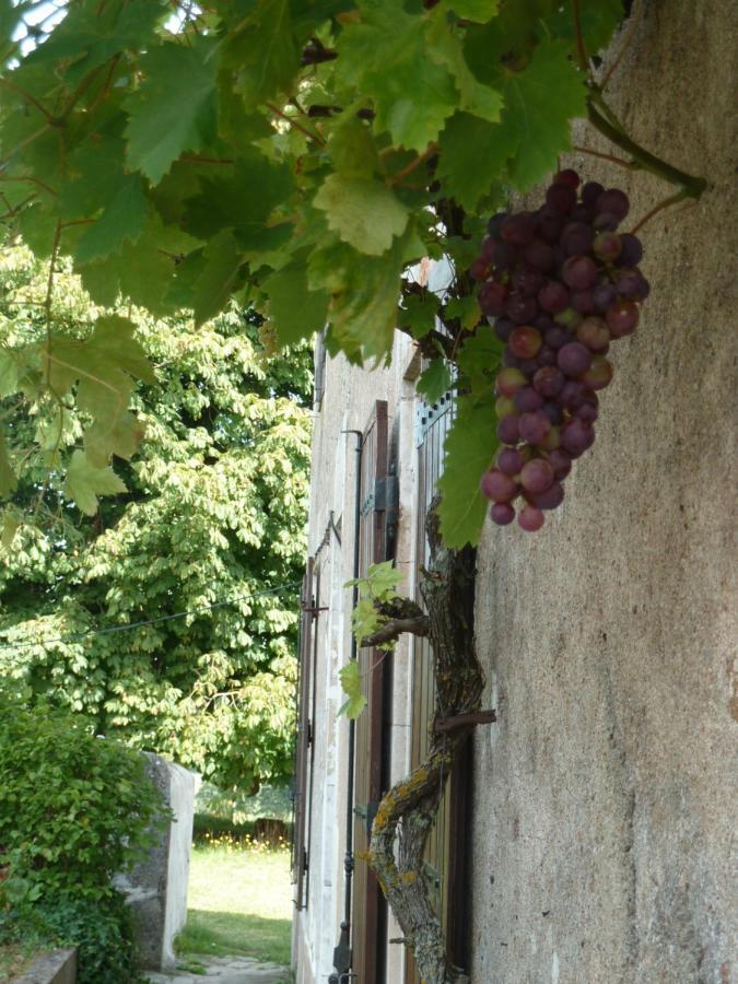 A L'Ombre Du Marronnier Gites La Peruse Экстерьер фото